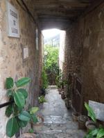 197 Valldemossa