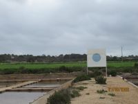 Flor de Sal Es Trenc