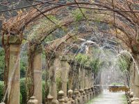 Arabische Gärten Alfabia (4)