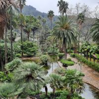 arabische Gärten Alfabia