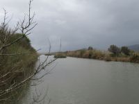 Albufera Wasserarm