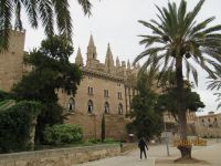 Palma (3)