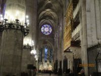 Palma Kathedrale (3)
