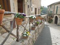 198 Valldemossa