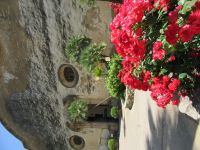 Eingang Gärten Alfabia