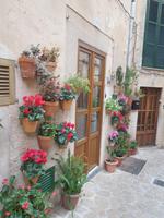 200 Valldemossa