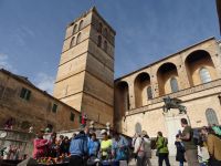 Sineu - Markttreiben um die Kirche St. Maria