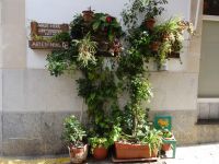 Alcudia und seine Gassen