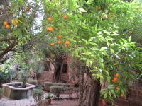 Valdemossa Klostergarten