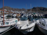 DSCN8640.JPG    Hafen  Pollenca
