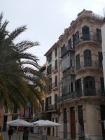 DSCN8752.JPG   Palma