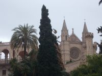 DSCN8754.JPG  Kathedrale  Palma