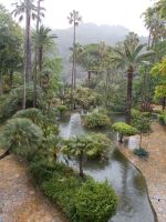 DSCN8829.JPG  im Park