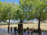 DSCN8843.JPG   alte Weinpresse