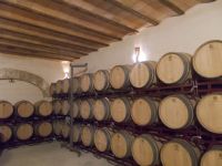 DSCN8848.JPG  das wird guter Wein