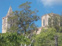 DSCN8888.JPG  Kirche Sineu