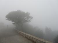 Nebellandschaften am Kloster San Salvador