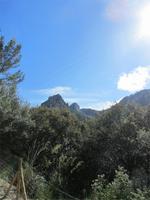 Ausblick auf der Fahrt nach Palma