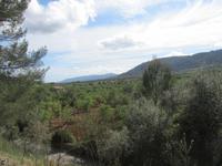 Ausblick auf der Fahrt nach Palma
