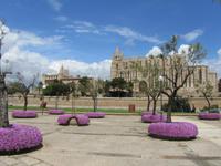 Kathedrale von Palma