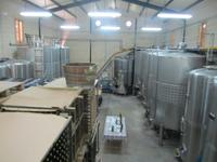 Weinkeller Vinya Taujana nach der Verkostung