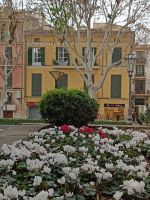 Die Blumenbeete in Palma de Mallorca