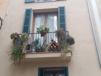 Die kleinen Balkone mit Blumen - Palma de Mallorca