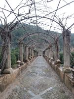 Gärten von Alfabia - Mallorca - Wasser -Sprüh-Gang - Mallorca