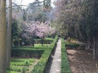  Gärten von Alfabia - Mallorca