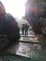 Hinauf zu Wahlfahrtsgipfel - Kloster Lluc - Mallorca