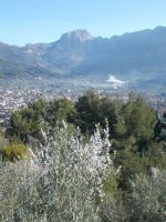DSCN9747.JPG  Puig Major , höchster Berg
