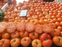 DSCN9841.JPG  lecker