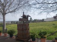 DSCN9846.JPG  alte Weinpresse