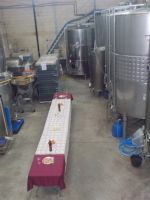 DSCN9849.JPG   Weinkeller