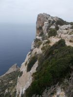 DSCN9971.JPG  Höhenangst ?