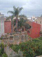 DSCN9988.JPG  Alcudia