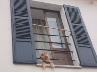 DSCN9996.JPG  gute Aussicht