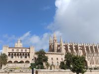 Und noch mal in Palma - Die Kathedrale und Königspalast - Mallorca