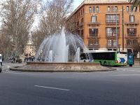 Plaza de la Reina - Palma de Mallorca