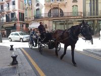 Mit Pferdekutsche durch Palma de Mallorca