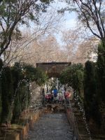 DSCN0021.JPG  Königsgärten Palma