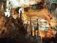 Tropfsteinhöhle - Hams - Mallorca