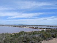 Salinen Wasserflächen - Mallorca