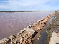 Salinen - die rosa Wasserflächen - Mallorca