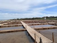 Salinen de Trenc - die kleinere Becken - Mallorca