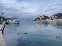 Der Hafen von Port d'Andratx - Mallorca