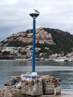 Port d'Andratx  und die Möven  Mallorca