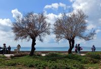 Die Uferpromenade - Platja d´Arenal - Palma de Mallorca