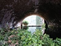  Gärten von Alfabia - Mallorca