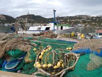 Port Andratx- Fischerhafen - Mallorca